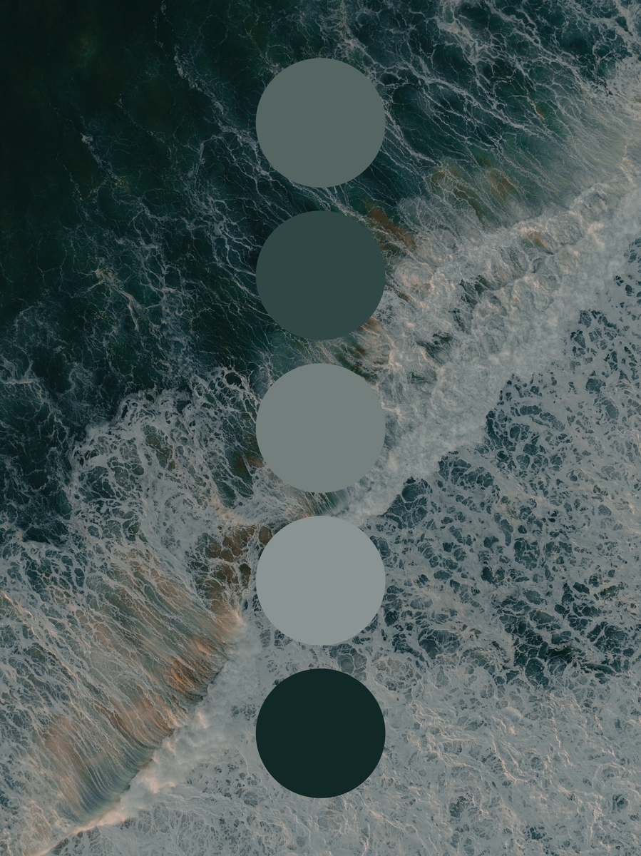 Get color palette inspiration from nature