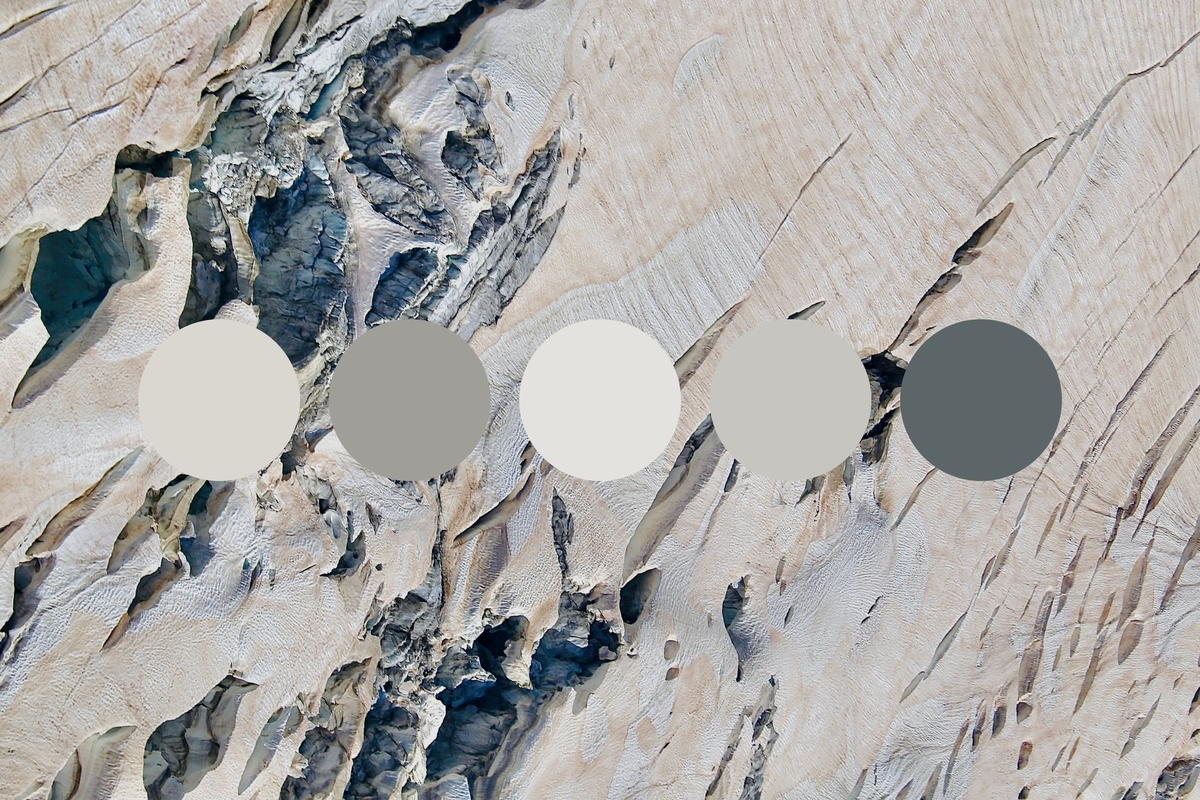 Get color palette inspiration from nature