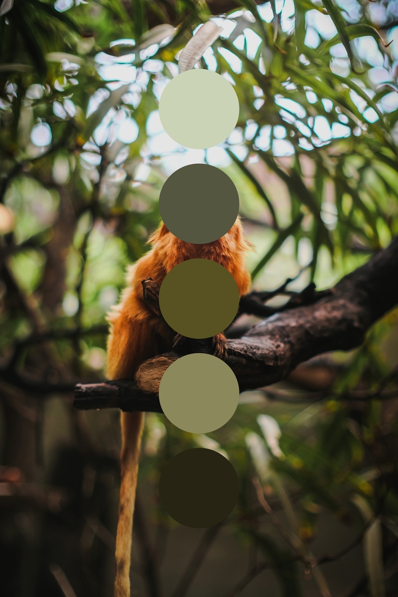Get color palette inspiration from nature