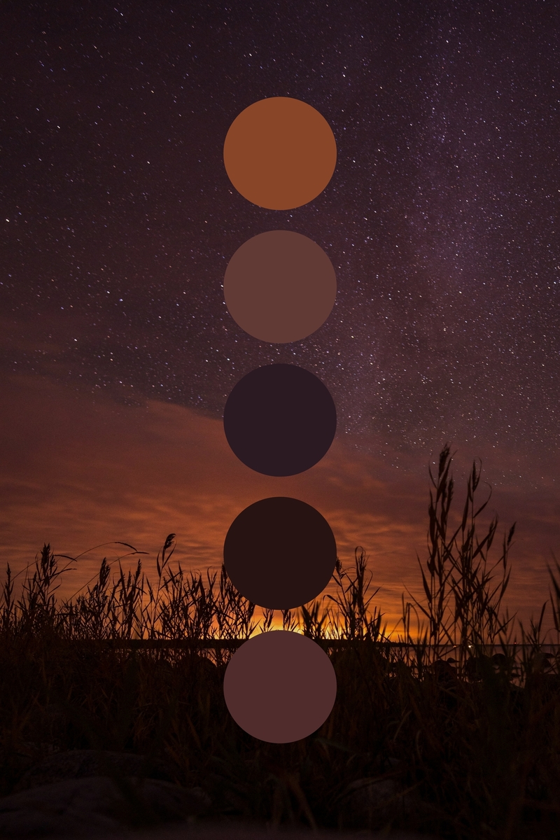 Get color palette inspiration from nature
