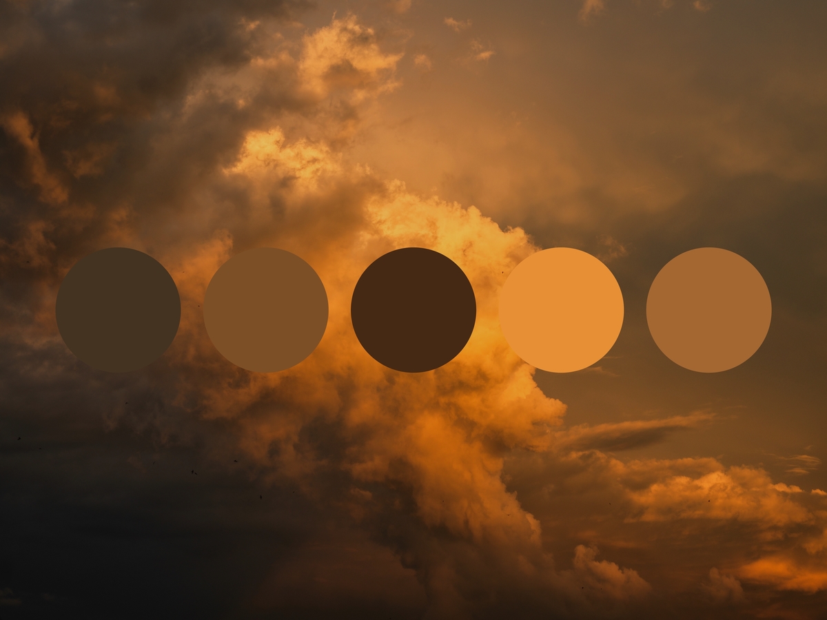 Get color palette inspiration from nature