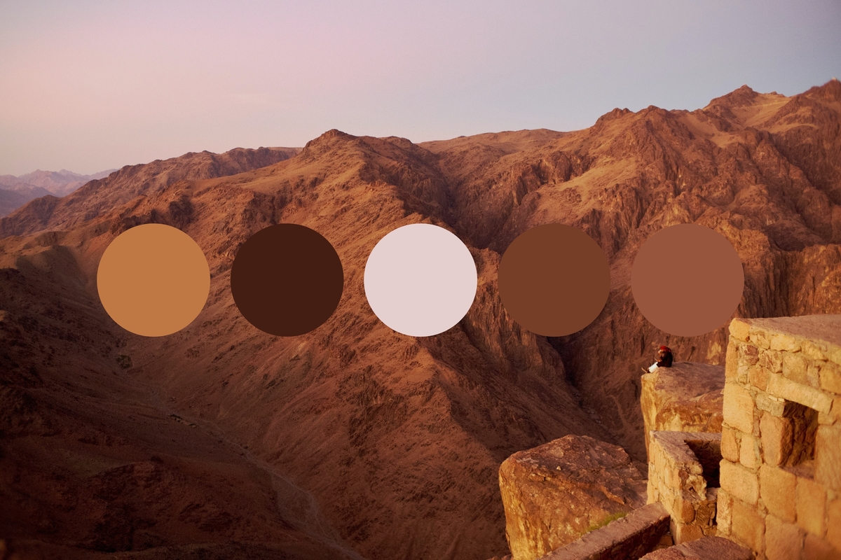 Get color palette inspiration from nature
